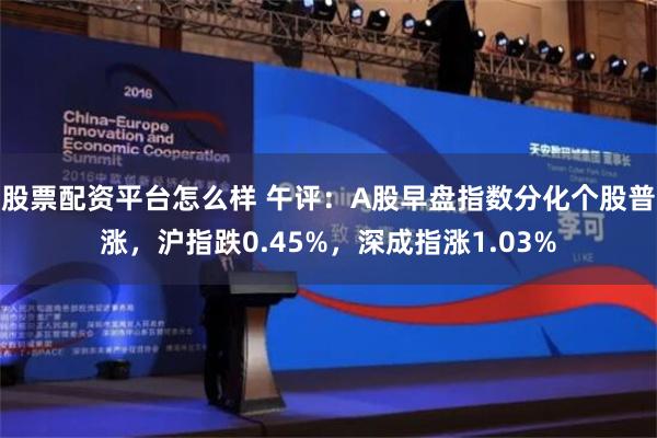 股票配资平台怎么样 午评：A股早盘指数分化个股普涨，沪指跌0.45%，深成指涨1.03%