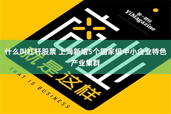 什么叫杠杆股票 上海新增5个国家级中小企业特色产业集群