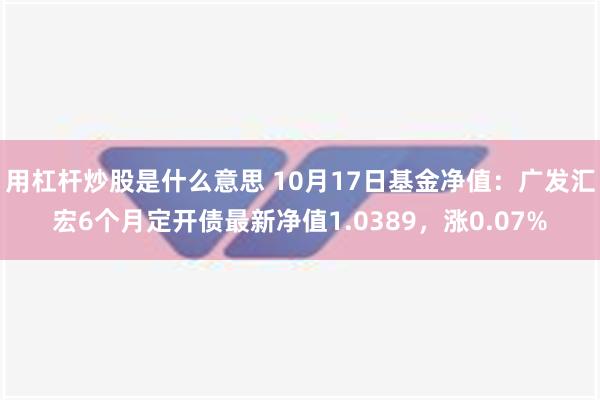 用杠杆炒股是什么意思 10月17日基金净值：广发汇宏6个月定开债最新净值1.0389，涨0.07%