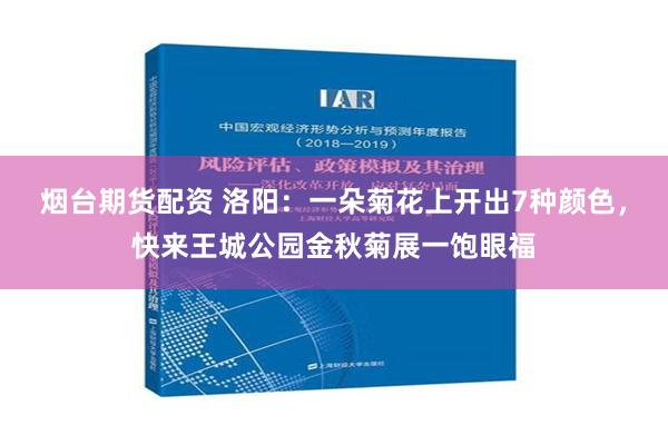 烟台期货配资 洛阳：一朵菊花上开出7种颜色，快来王城公园金秋菊展一饱眼福