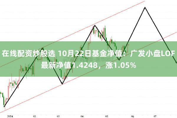 在线配资炒股选 10月22日基金净值：广发小盘LOF最新净值1.4248，涨1.05%