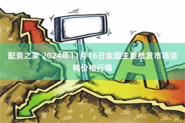 配资之家 2024年11月16日全国主要批发市场活鸭价格行情