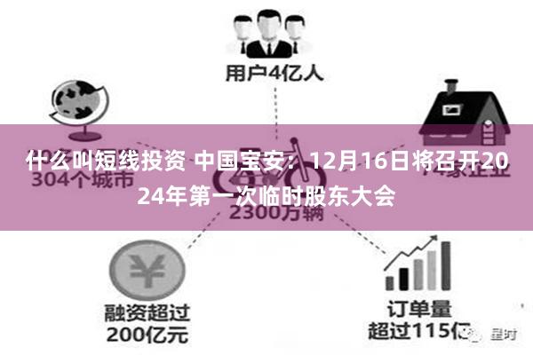 什么叫短线投资 中国宝安：12月16日将召开2024年第一次临时股东大会