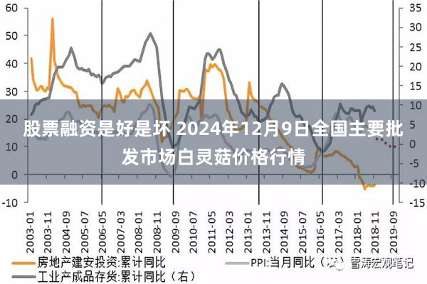 股票融资是好是坏 2024年12月9日全国主要批发市场白灵菇价格行情