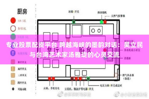 专业股票配资平台 跨越海峡的墨韵对话：吴立民与台湾艺术家汤雅琁的心灵交流