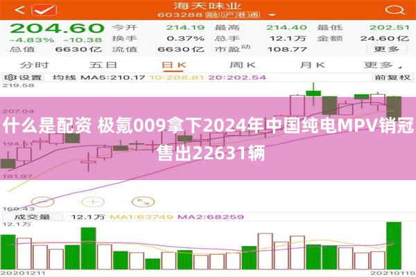 什么是配资 极氪009拿下2024年中国纯电MPV销冠 售出22631辆